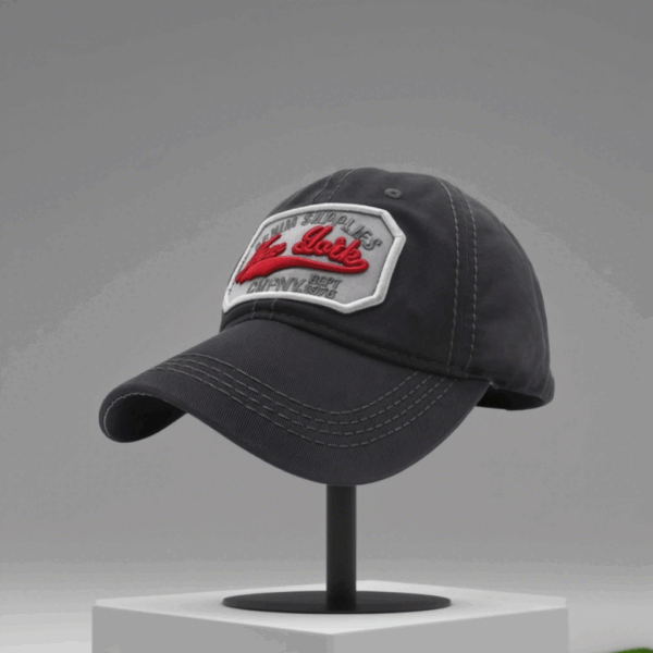 Gray Embroidered Curve Cap - Image 4